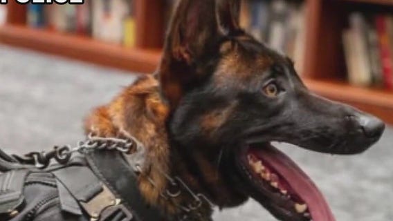 Suspect killed after fatally shooting police dog