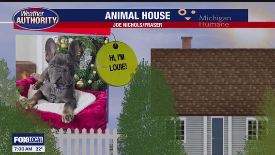 Welcome Louie, Collins, Rogan