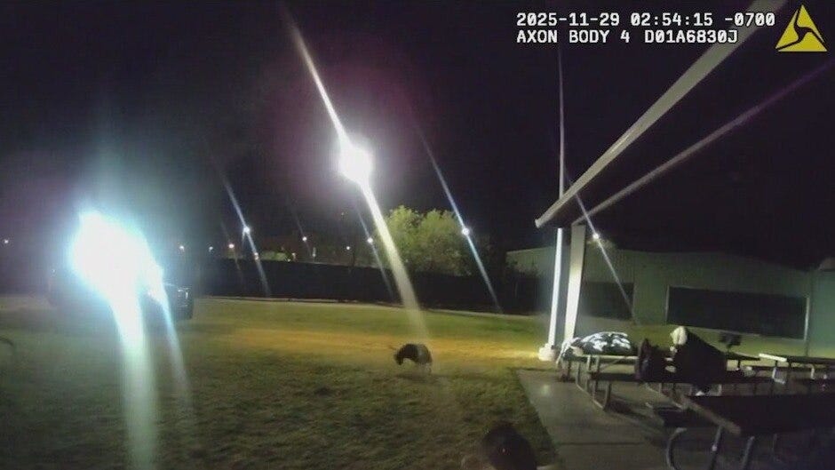 Homeless man's 'aggressive' dog shot by police at Mesa park