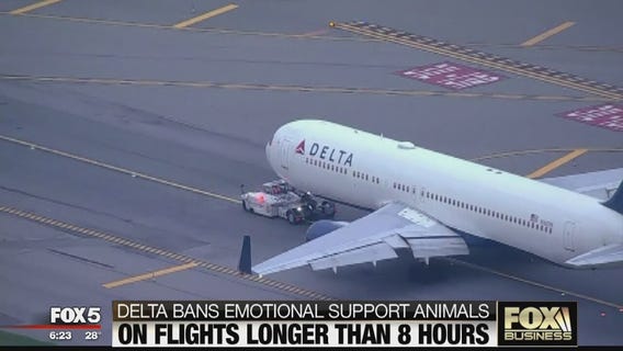 Delta is banning all 'emotional support' animals on 8-hour flights