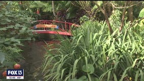 Take a stroll through St. Pete's oldest living museum