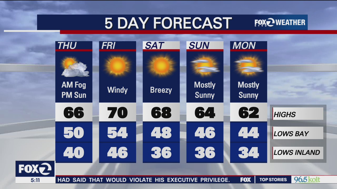 Thick morning fog, afternoon sun
