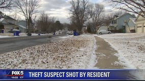 Police: Theft suspect shot by resident in Silver Spring