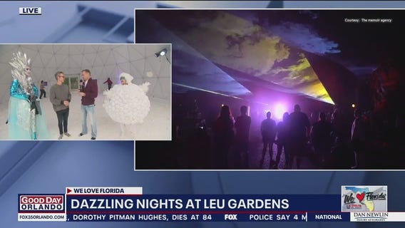 Dazzling Nights: Everything to see and do at this Florida holiday tradition
