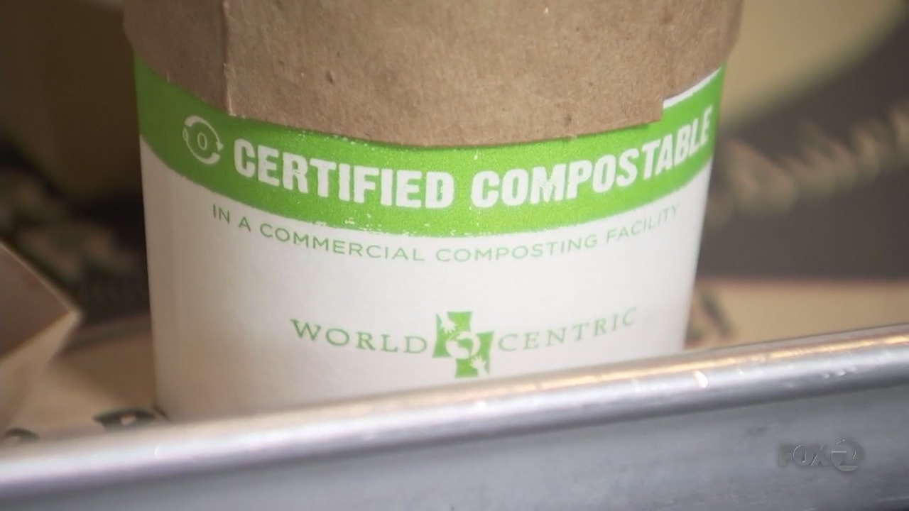 BAY AREA PEOPLE World Centric