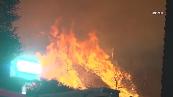 Palisades Fire recovery challenges