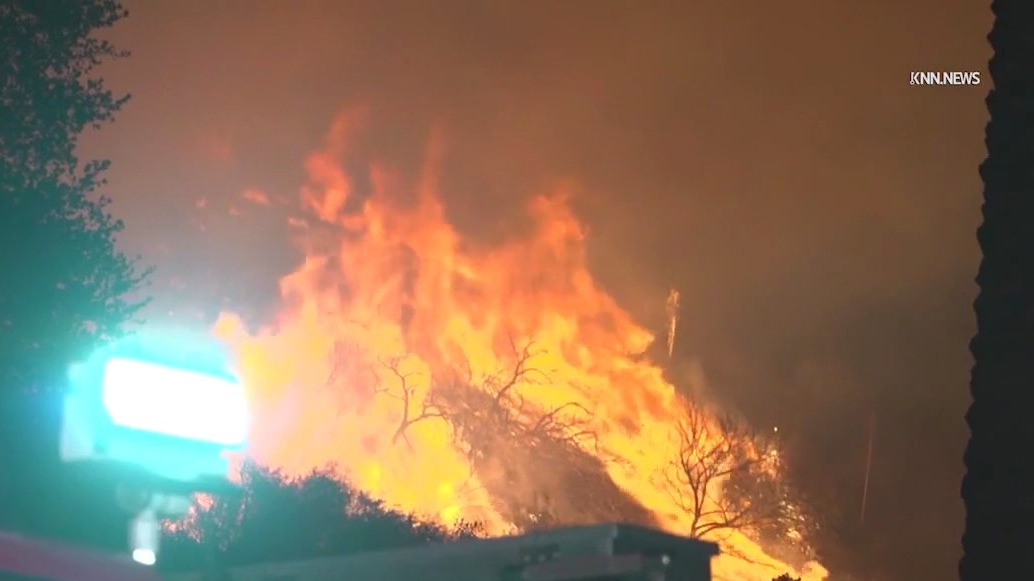 Palisades Fire recovery challenges