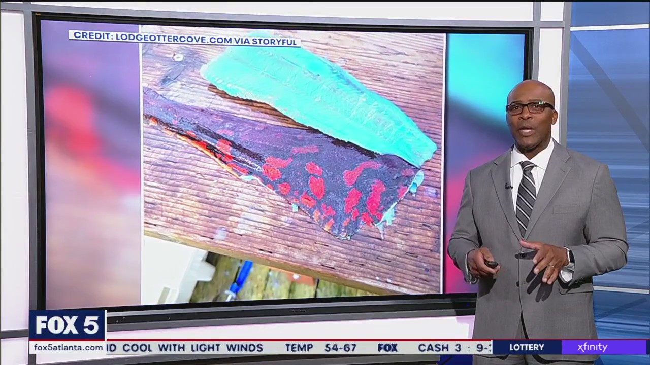 Fisherman lands catch with blue flesh