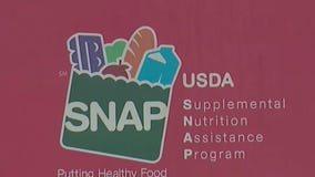 Here's when IL SNAP recipients will receive their full November payments