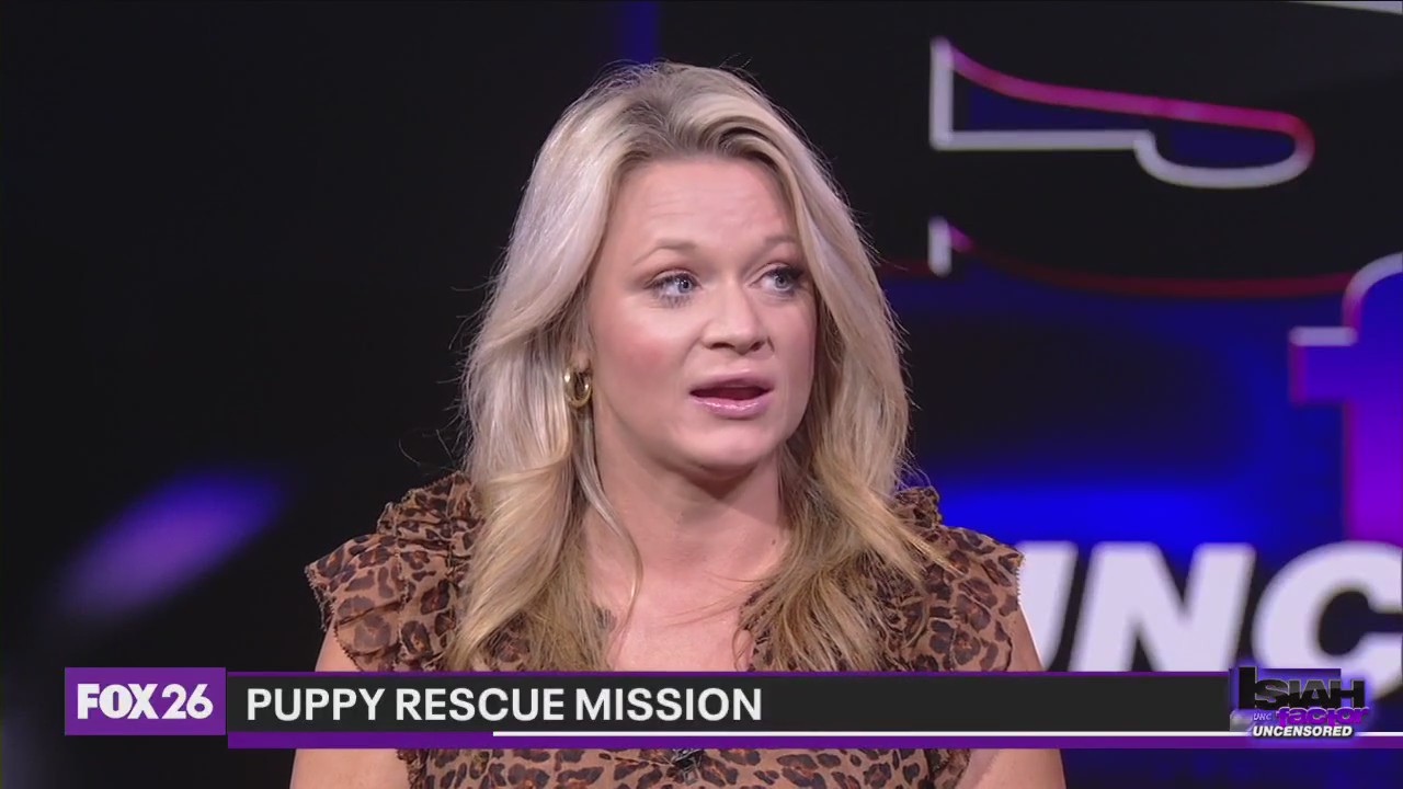 Volunteer spends days inside of cockroach infested sewers to save puppies