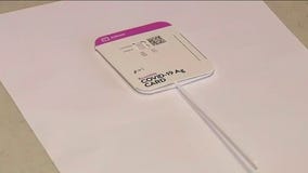 How to order free COVID-19 tests?