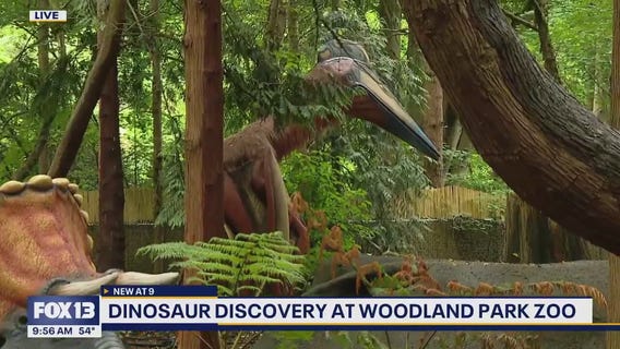 Dinosaur Discovery at Woodland Park Zoo