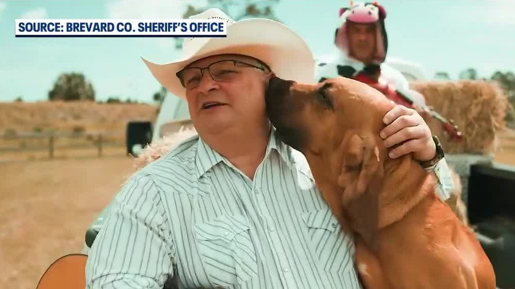 Brevard County sheriff creates music video on highway safety