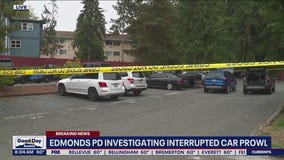 Edmonds police investigate interrupted car prowl