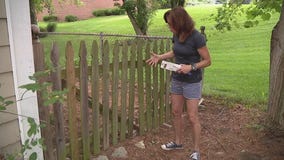 Jill of All Trades fixes up a warped fence gate