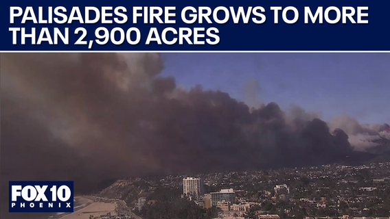 Palisades Fire: Timelapse shows massive smoke plume