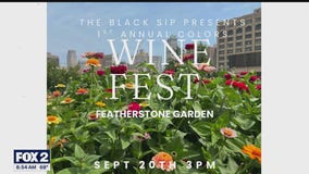 THE BLACK SIP: WINE FEST