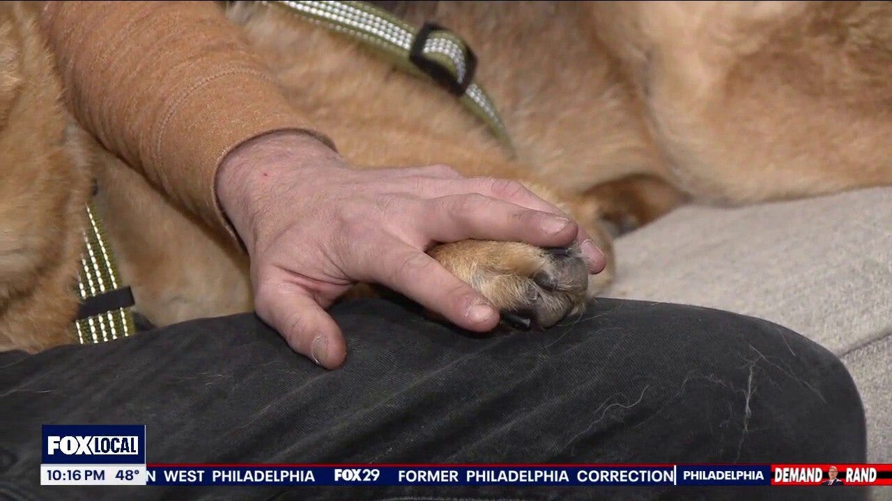 When a NJ man bought a house, he unexpectedly got a dog too
