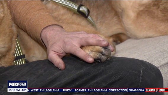 When a NJ man bought a house, he unexpectedly got a dog too