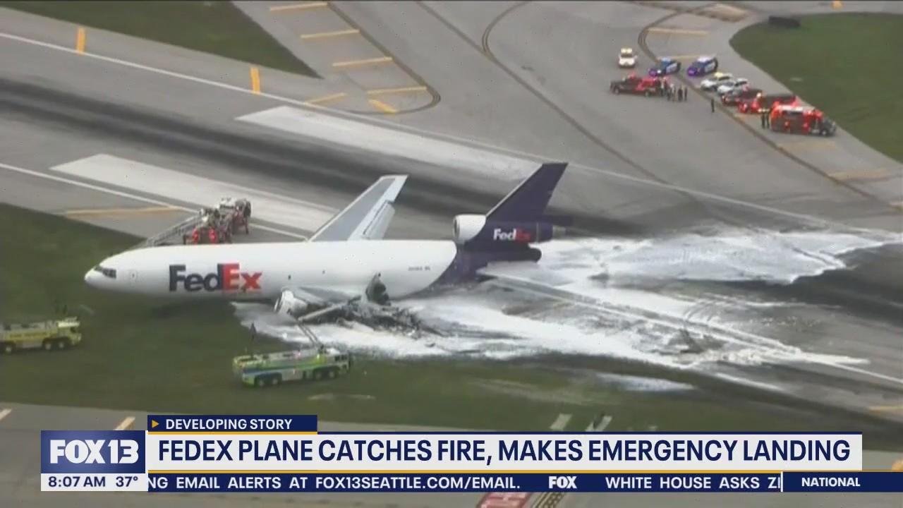 Fedex plane makes emergency landing after bird strike