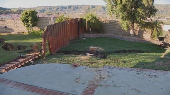 Mother left without home after backyard collapses