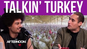 It’s turkey time: Minnesota proud as the nation’s turkey capital