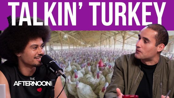 It’s turkey time: Minnesota proud as the nation’s turkey capital