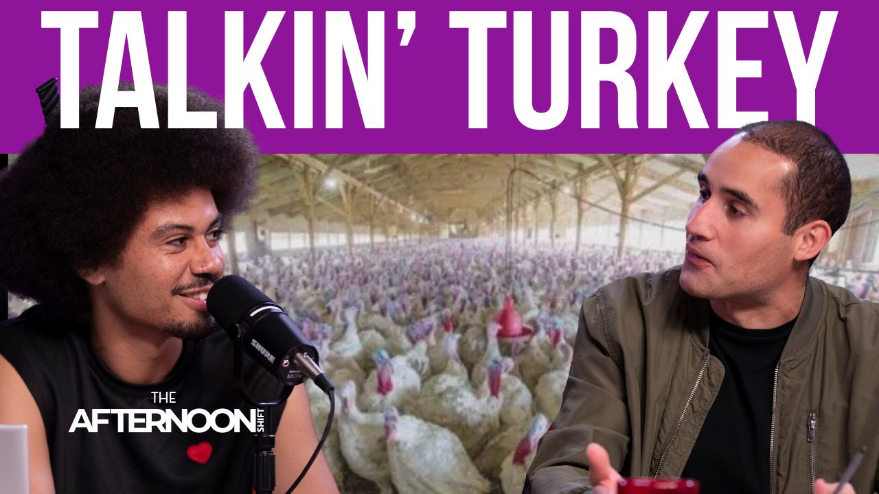 It’s turkey time: Minnesota proud as the nation’s turkey capital