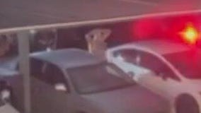 'Armed and dangerous' fugitive apprehended in Coolidge