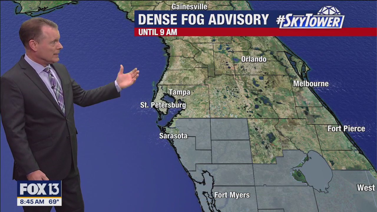 Tampa weather | Warm temps and sunny