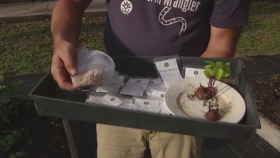 Knowing what to grow for the summer