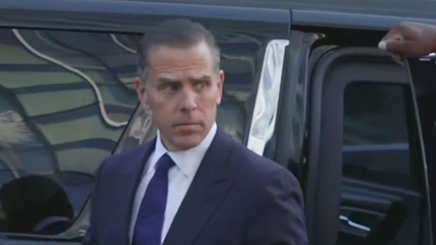 Hunter Biden pleads guilty