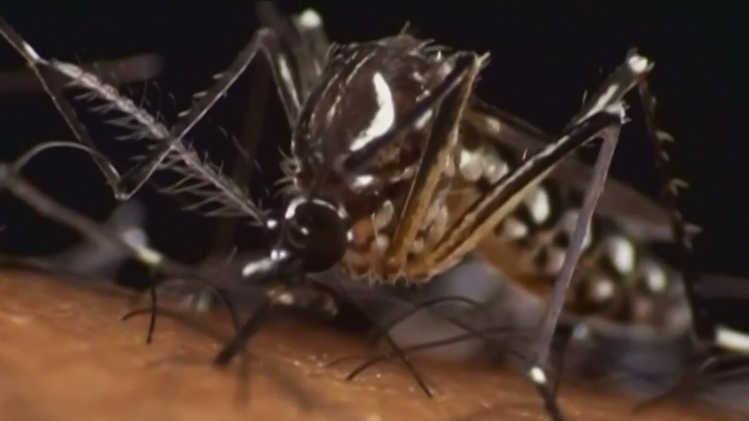 CDC: First U.S.-borne cases of malaria in years