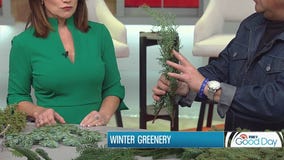 Holiday greenery 101 with Garden Guy Dale K