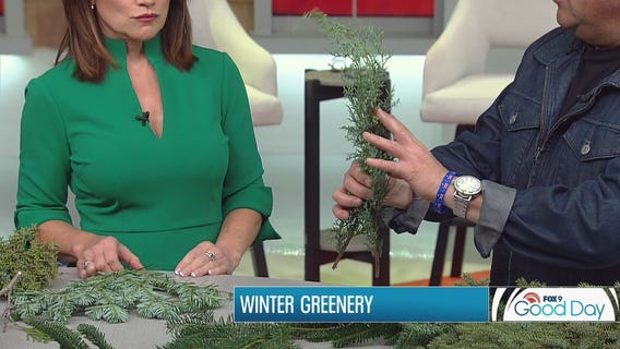 Holiday greenery 101 with Garden Guy Dale K