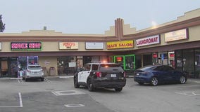 Multiple businesses hit in morning crime spree