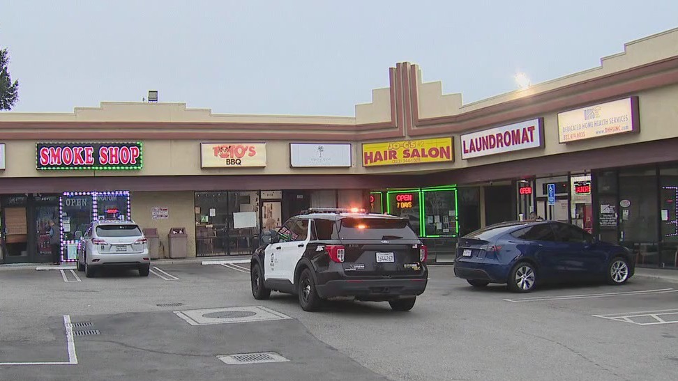 Multiple businesses hit in morning crime spree