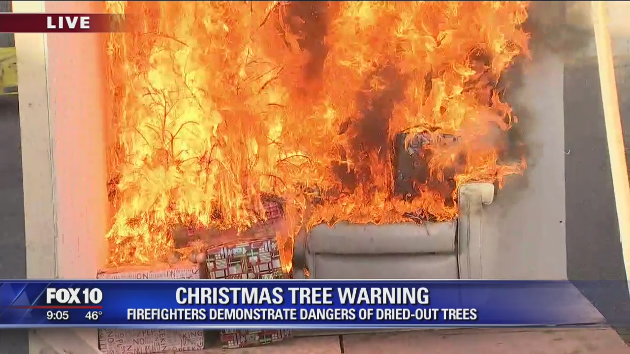 Firefighters demonstrate dangers of dried-out Christmas trees