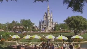 Trump supporters plan trip to Disneyland