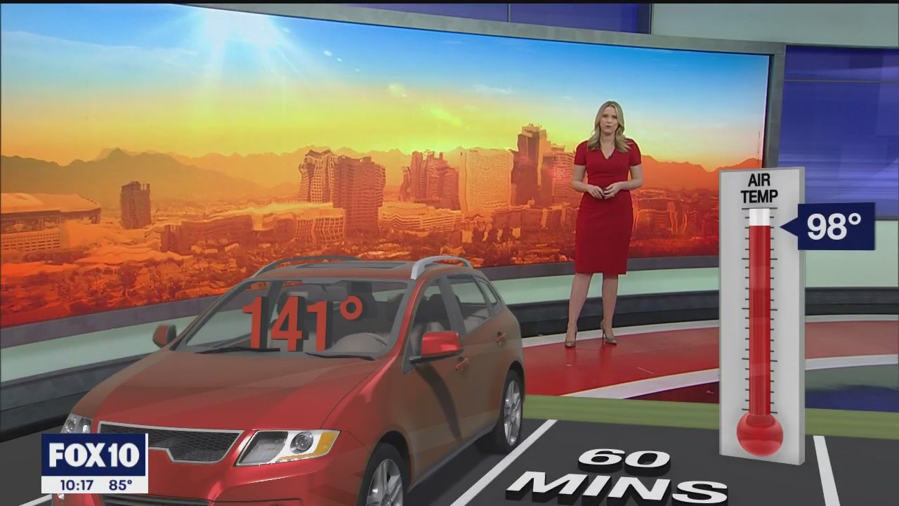 Explained: Never a good idea to leave pets in hot cars