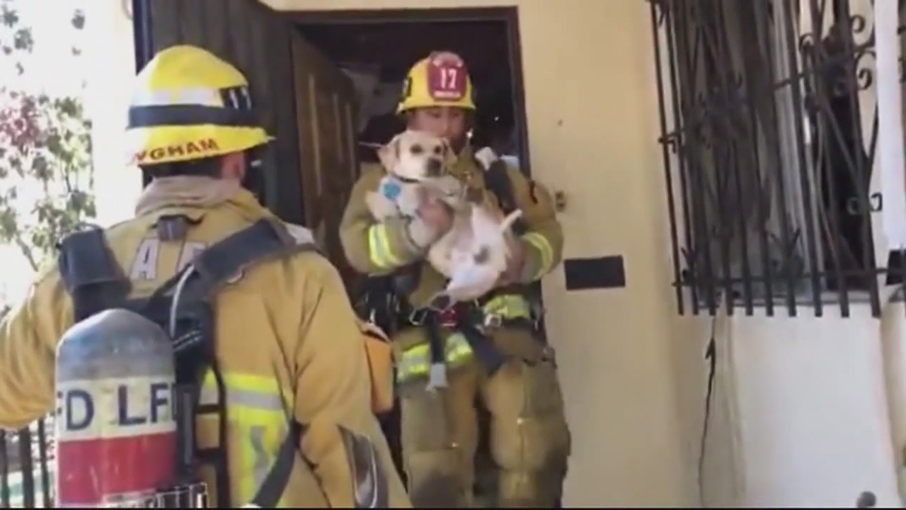 Man critically injured in explosion in Boyle Heights