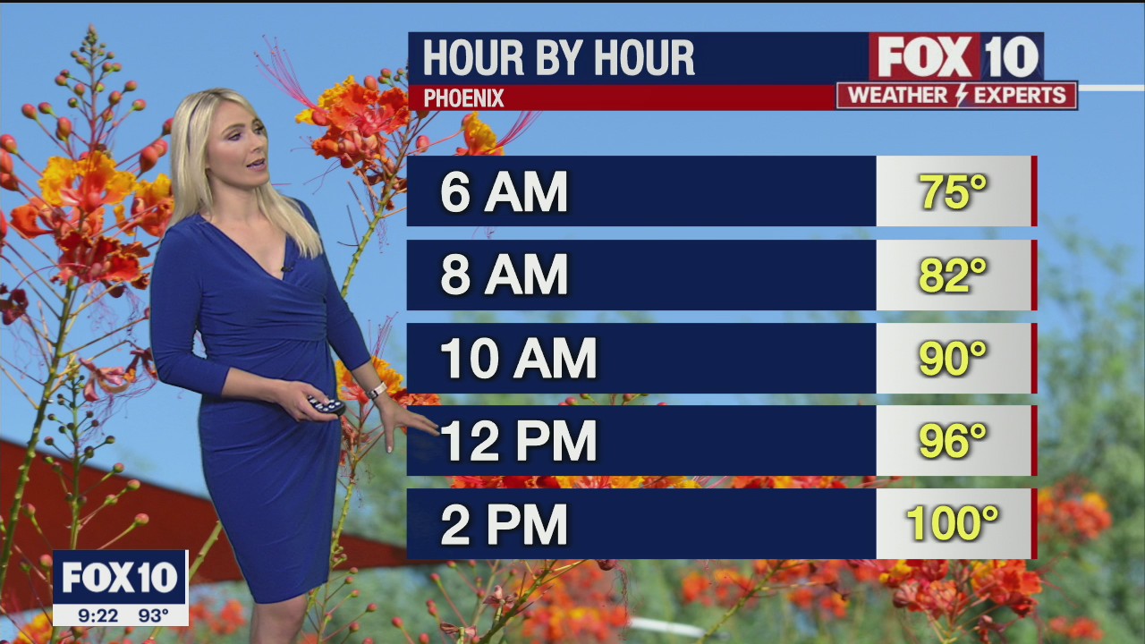 Evening Weather Forecast - 6/8/21