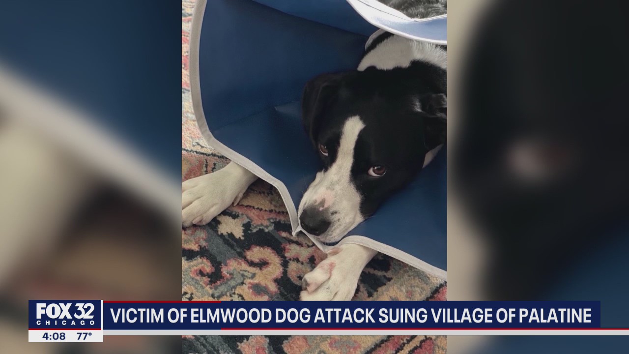 Victim of Elmwood Dog attack suing village of Palatine