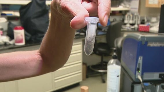 With summer also comes mosquito season in Arizona