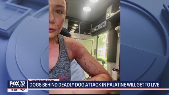 Dogs who attacked 2 people, killed dog in Palatine get to live