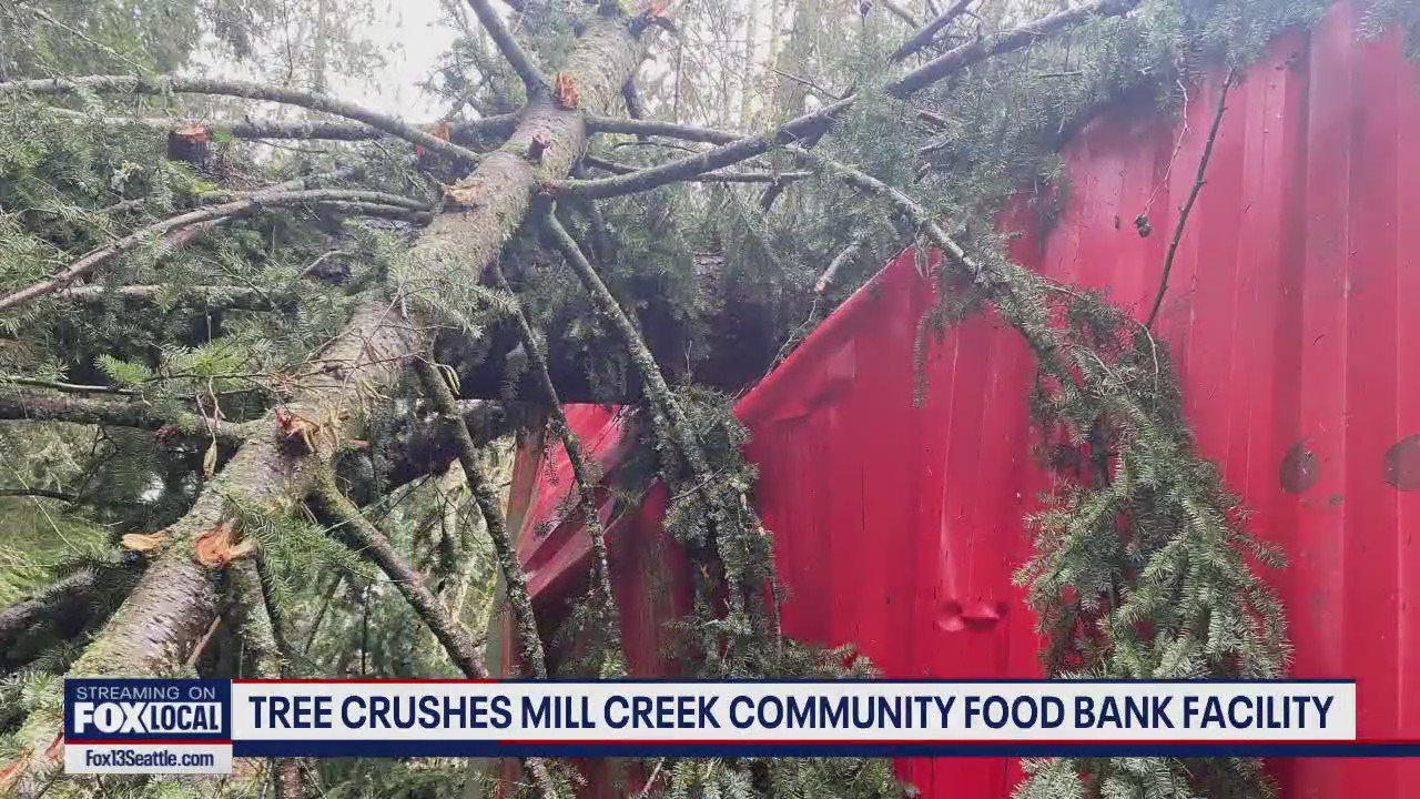 Tree crushes Mill Creek Community Food Bank