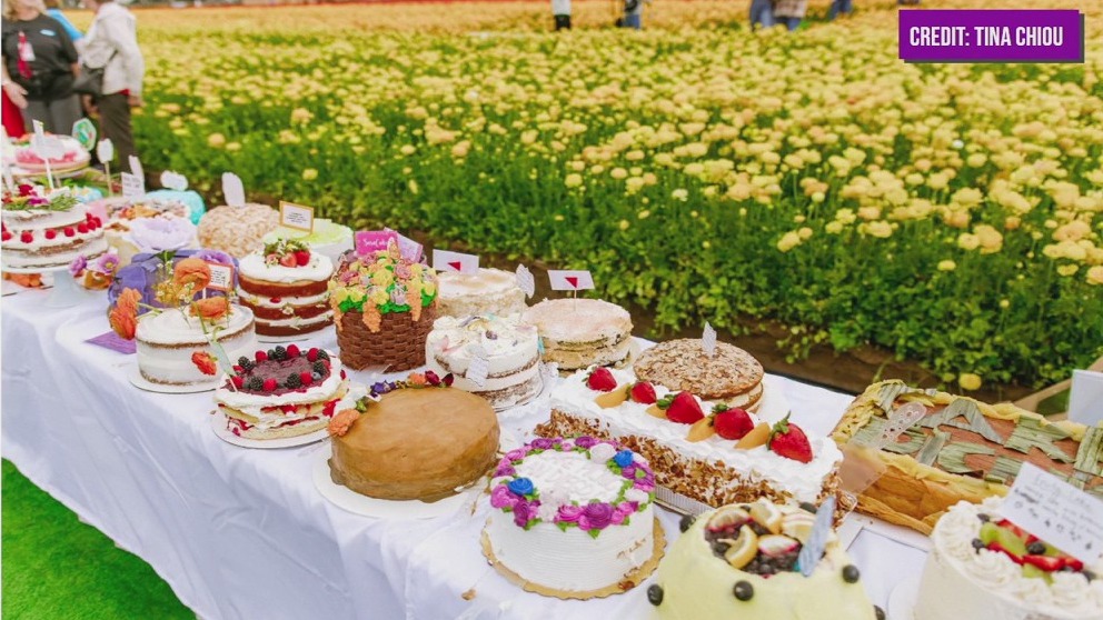 Cake Picnic Tour arrives in Minnesota this weekend: No cake, no entry