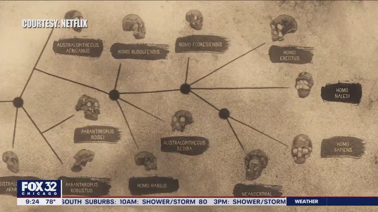 Unlocking the mystery behind the 'Cave of Bones'