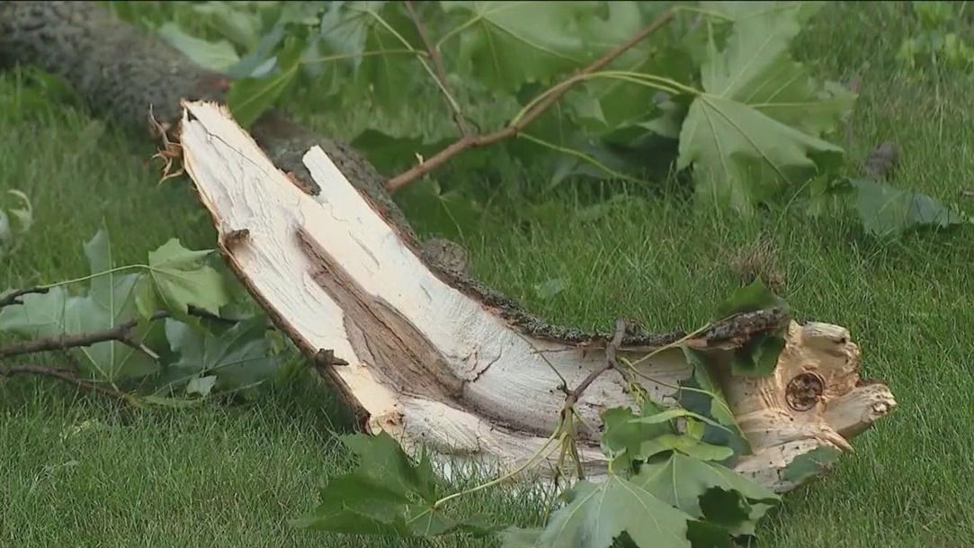 Surge of tornadoes in Illinois this year raises questions