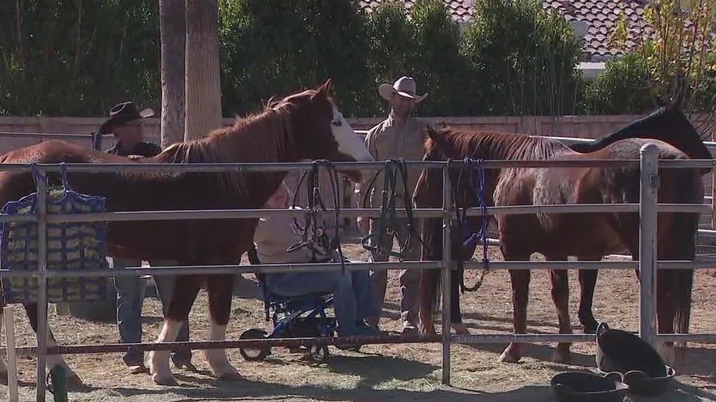 Hunkapi Programs rescues horses from CA fires